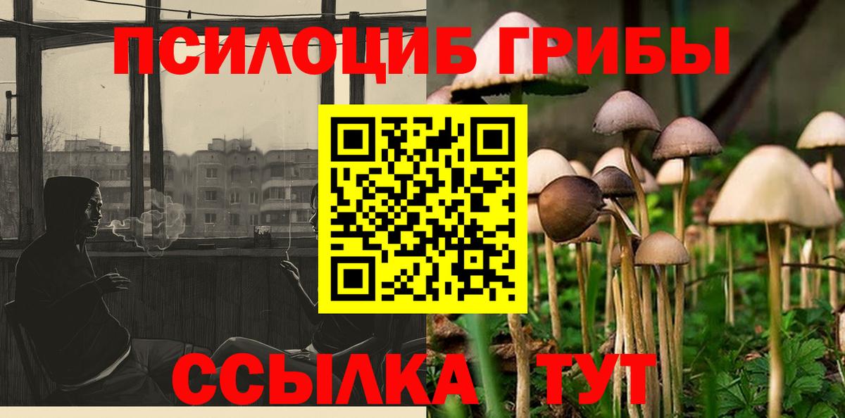 Псилоцибиновые грибы мухоморы Каменск-Шахтинский