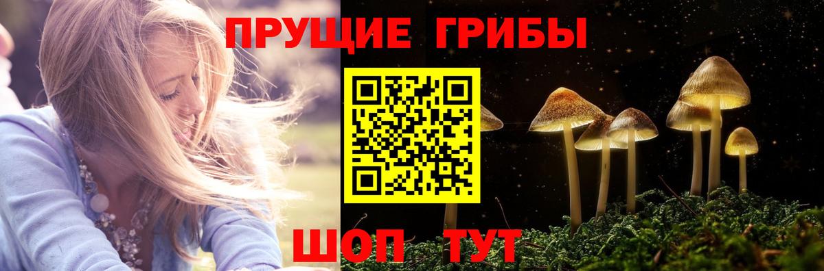 Меф Каменск-Шахтинский