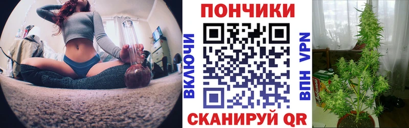 MEGA ССЫЛКА  Каменск-Шахтинский  Бошки марихуана индика 